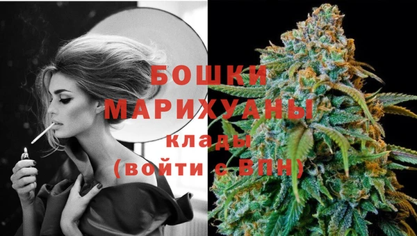 прущие крисы Аркадак